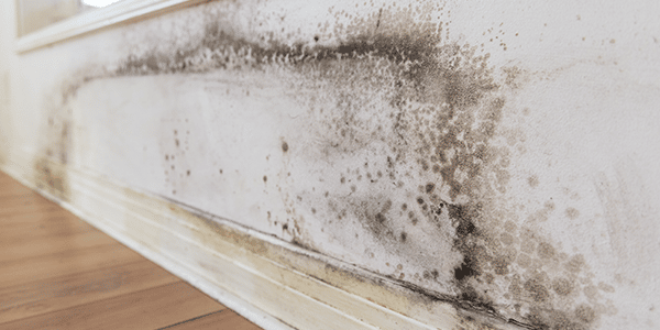 les types d'infiltrations d'eau